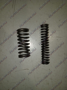26040